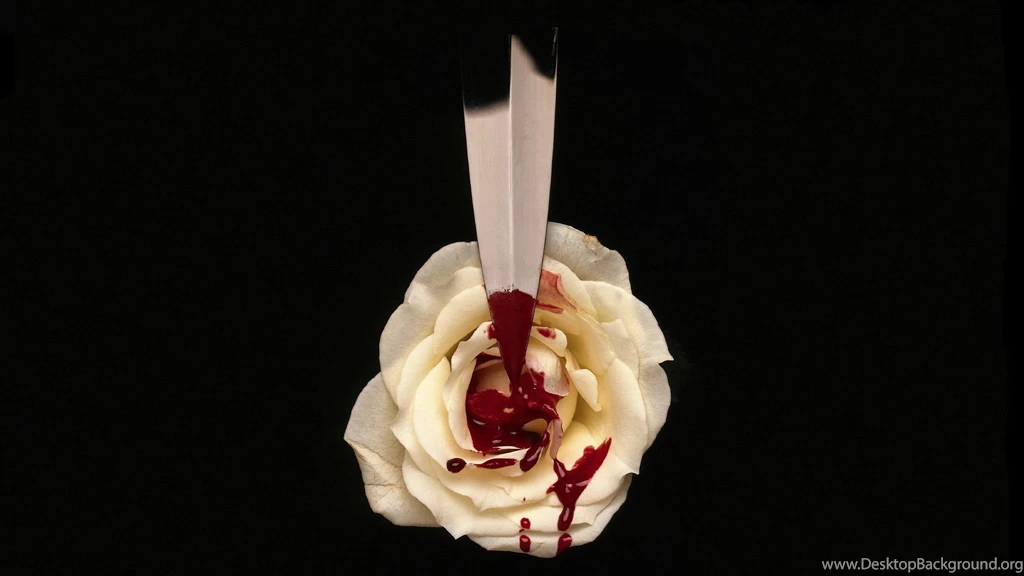Dark White Black Blood Rose Knife Blade Drops Wallpapers ...