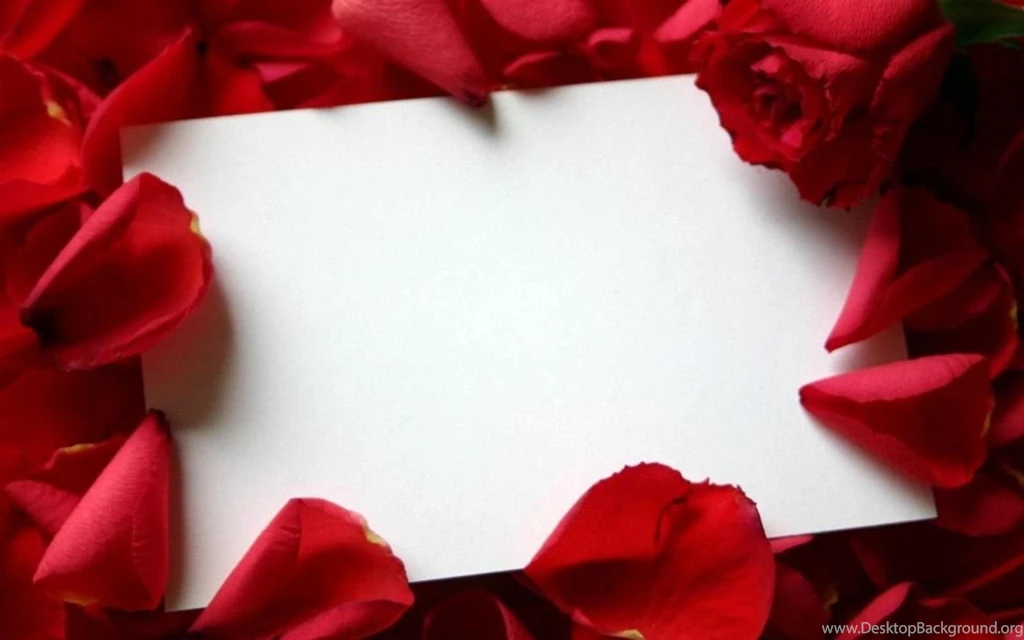 Beautiful Roses Wallpapers Free Download – Valentine Week 2016