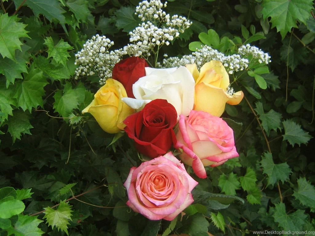 Roses_bouquet_3549.jpg
