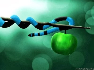 3D Wallpapers For Computer Desktop