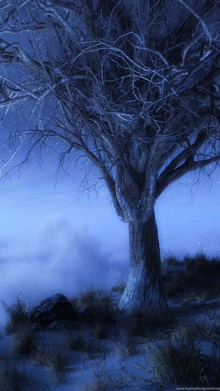 At Worlds Edge Winter At Worlds Edge Winter Samsung Galaxy ...