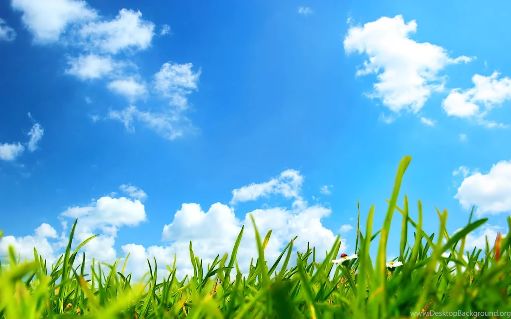 Steve Bradford On Protecting The Environment