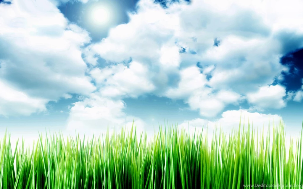 Sky Over The Grass By Sagorpirbd On DeviantArt