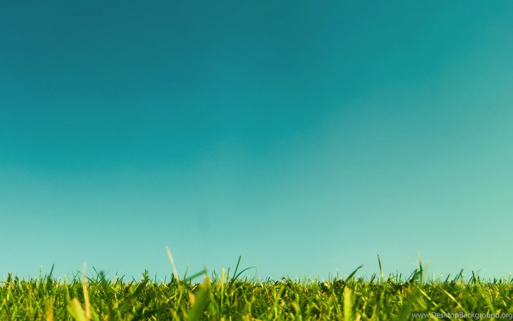1152x865px Super Natural Wallpapers