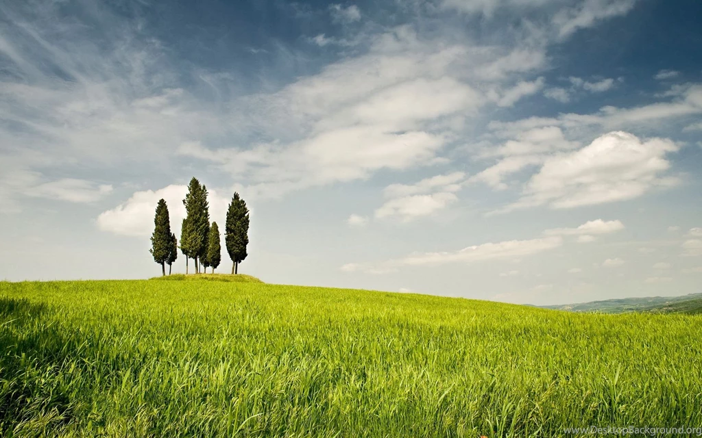 Grass Trees Field Clouds Sky Wallpapers