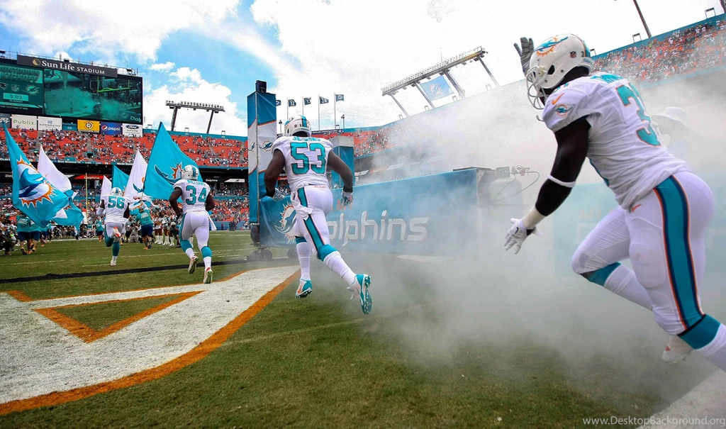 Miami Dolphins High Quality HD Wallpapers 2015   All HD Wallpapers