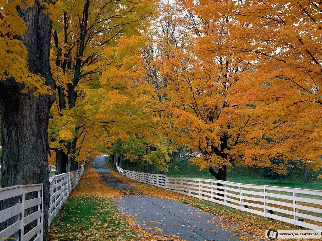 30+ Beautiful High Quality Nature Wallpapers For Windows 7 Ntt.cc