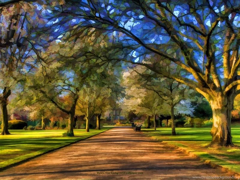 Park In Springtime Artistic Backgrounds Wallpapers 800x600 Pixels