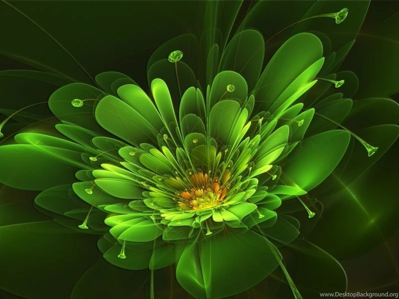 Pocket PC, PDA 800x600 Green Wallpapers HD, Desktop Backgrounds ...