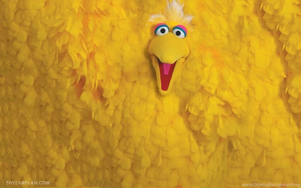 I Made Sesame Street Muppets turned into rugs — 50 Year Plan