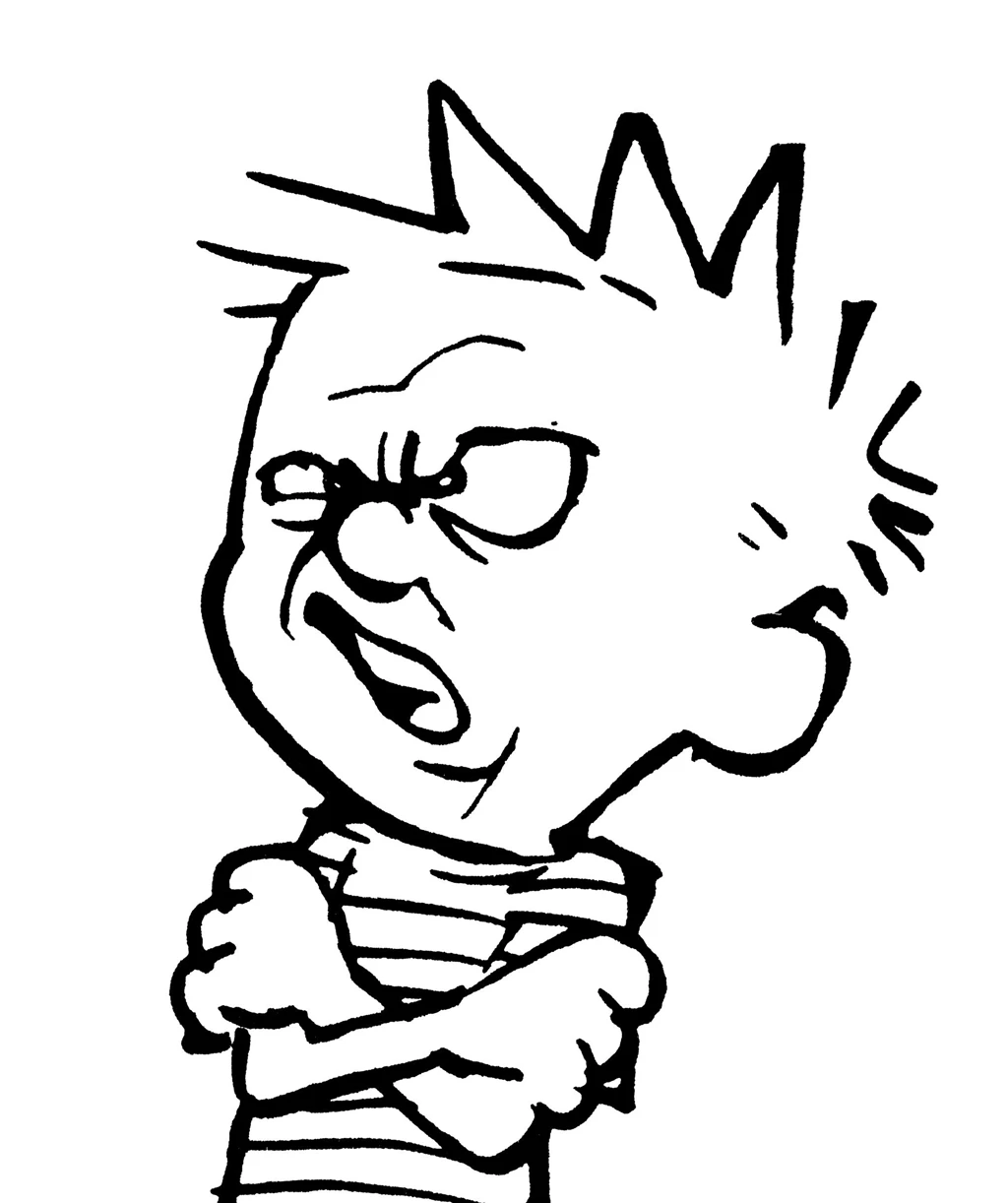 Calvin & Hobbes Current Surroundings