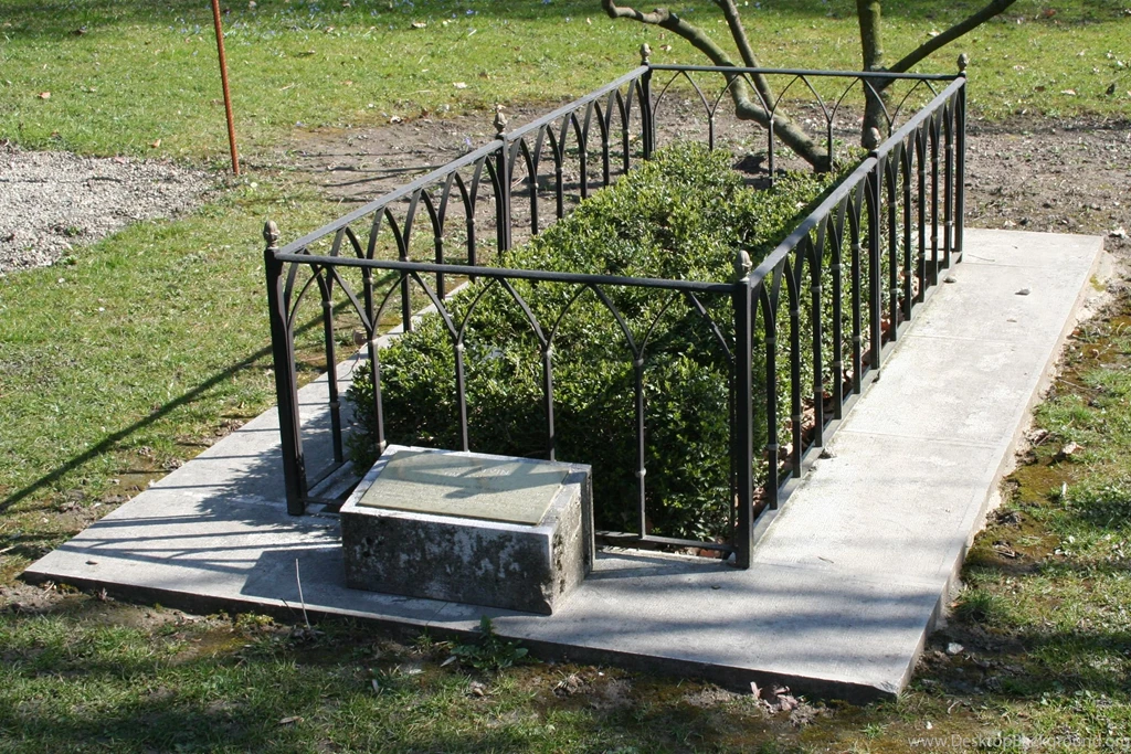 John Calvin   Wikipedia, The Free Encyclopedia