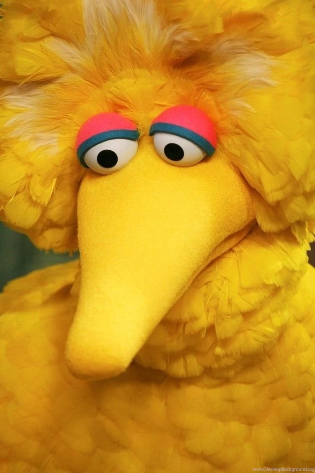 Big Bird iPhone HD Wallpaper, iPhone HD Wallpapers Download iPhone ...