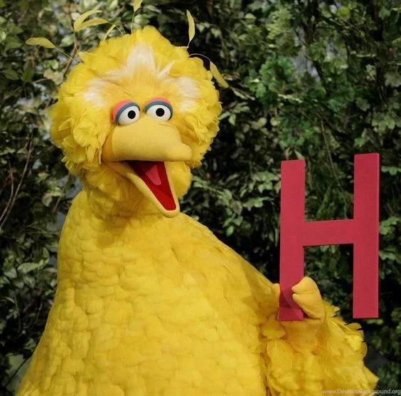 Big Bird And The Letter H