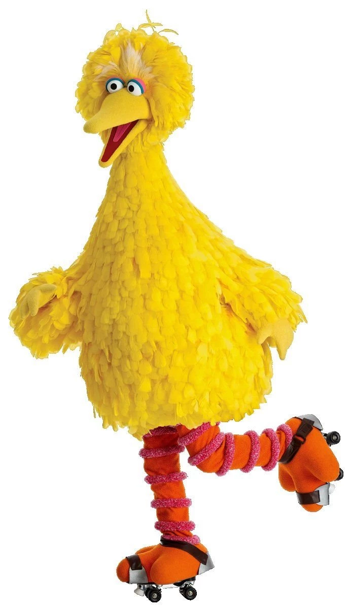 Big Bird skates 2.jpg