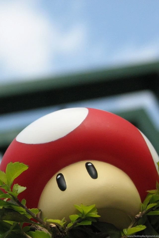 Best Phone HD Wallpapers