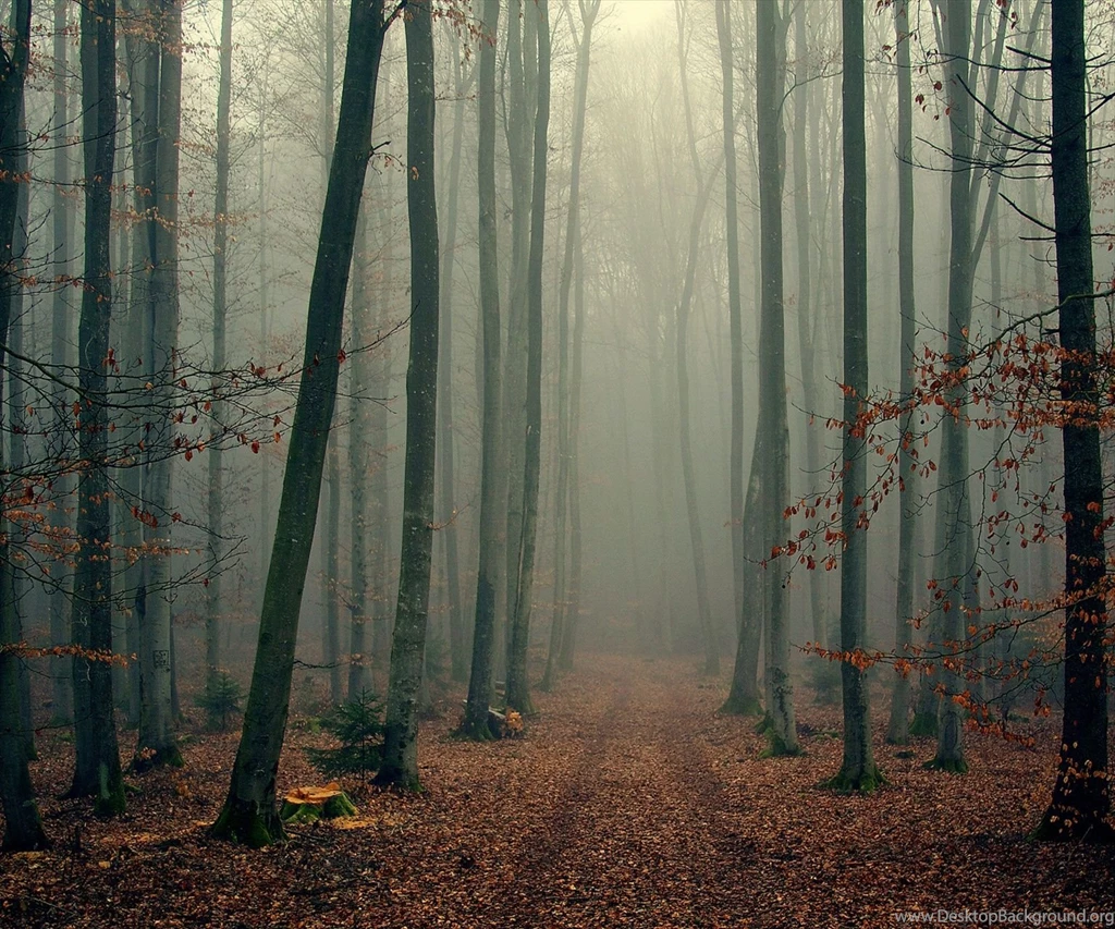 Super_desktop_ best_wallpaper _hd _zedge.jpg