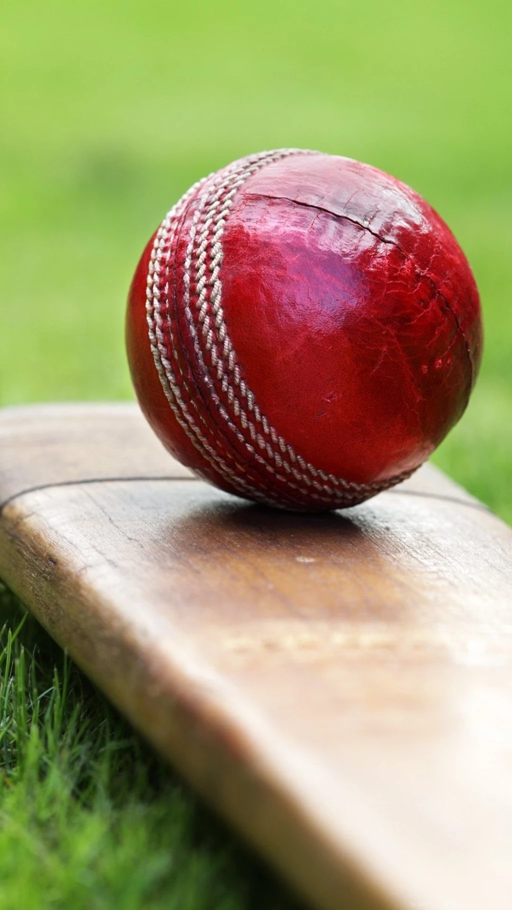 Cricket Bat And Ball Wallpapers   1080x1920   334864