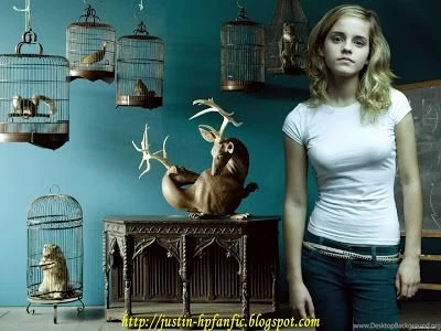 HARRY POTTER'S ULTIMATE FAN SITE: HERMIONE GRANGER @ EMMA WATSON ...