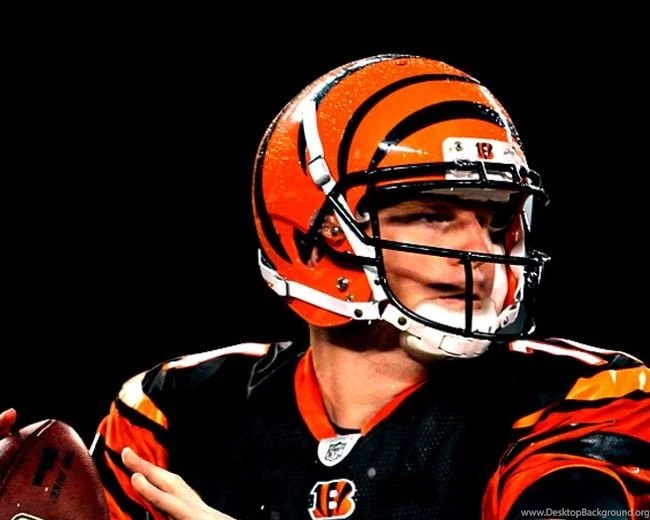 Cincinnati Bengals Fan WebsiteCIN Bengals