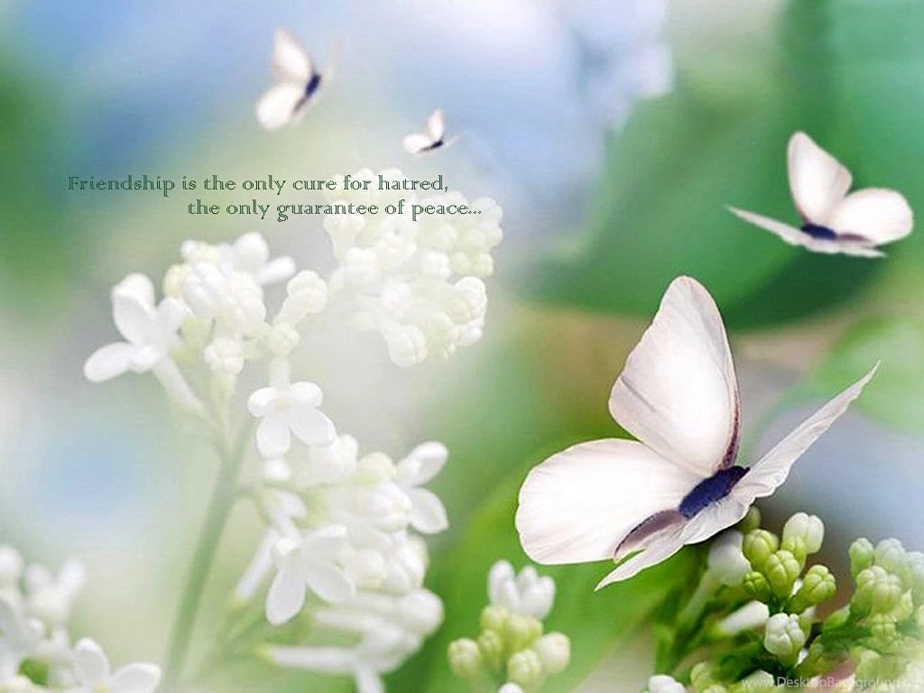 Sad Friendship Quotes Wallpapers