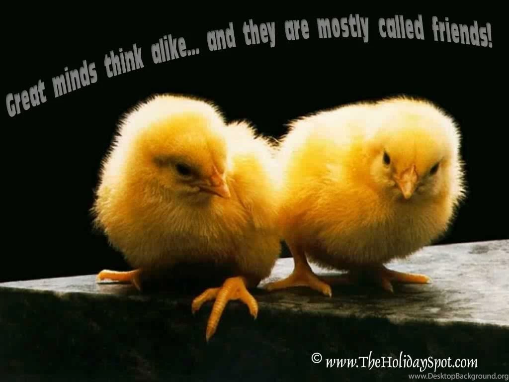 Friendship Wallpapers 14   Best Wallpapers Collection