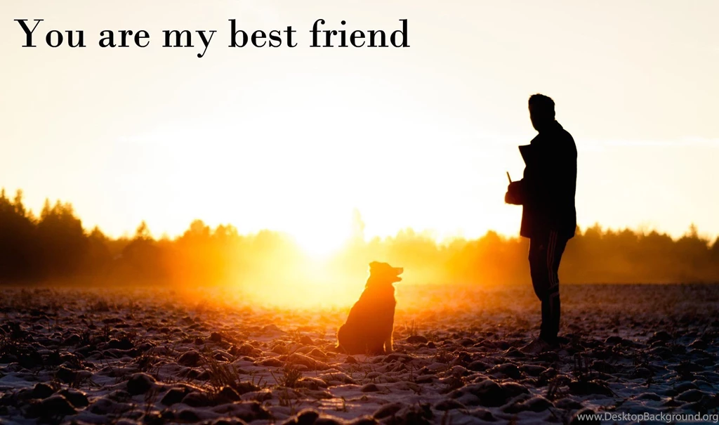 I Love My Friends Desktop Wallpapers