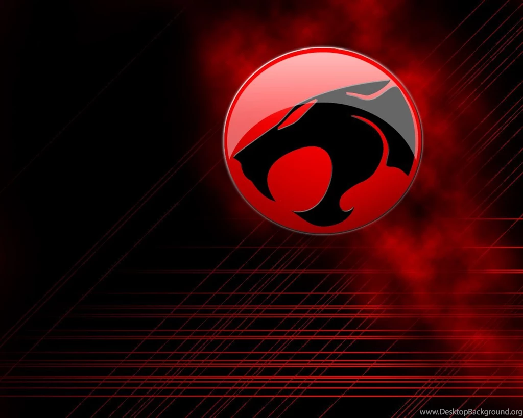 Thundercat Favourites By XX CathTheHedgie Xx On DeviantArt