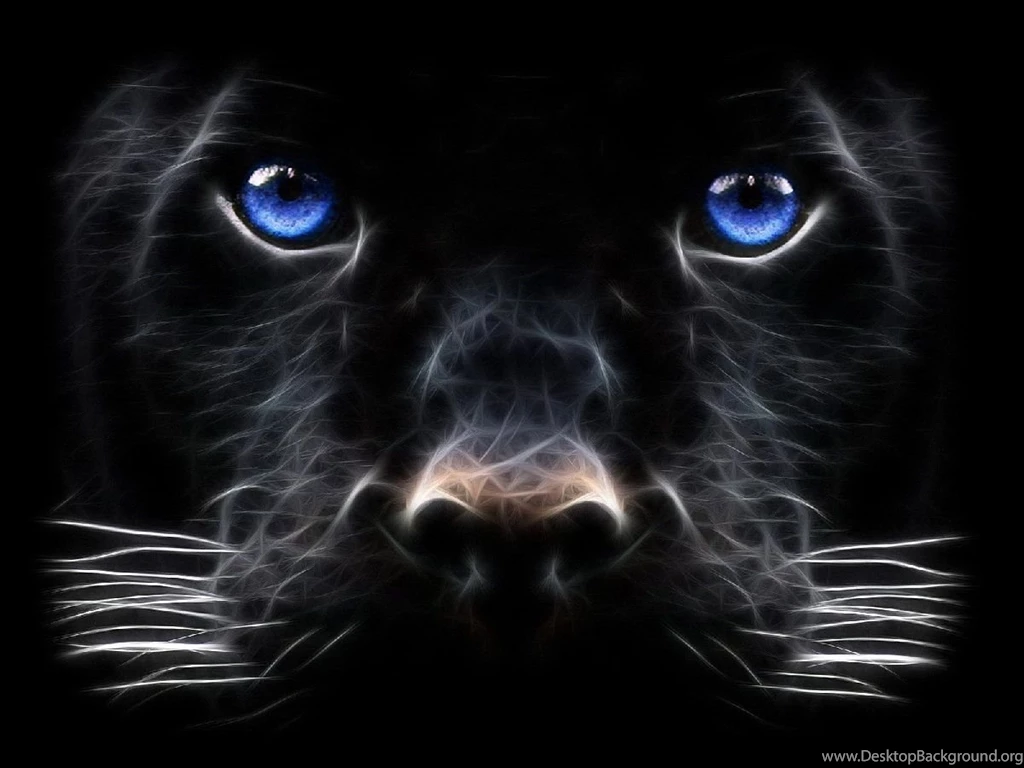 1.1Cool and Creative Windows7 Wallpapers.jpg
