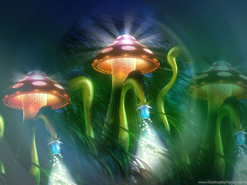 Mushroom Computer Wallpapers, Desktop Backgrounds