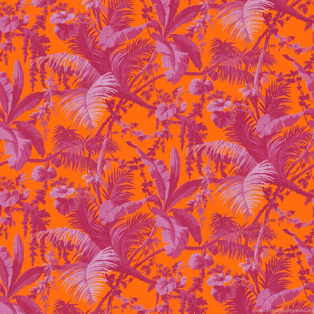 PAMPAS Wallpapers Tangerine / Azalea