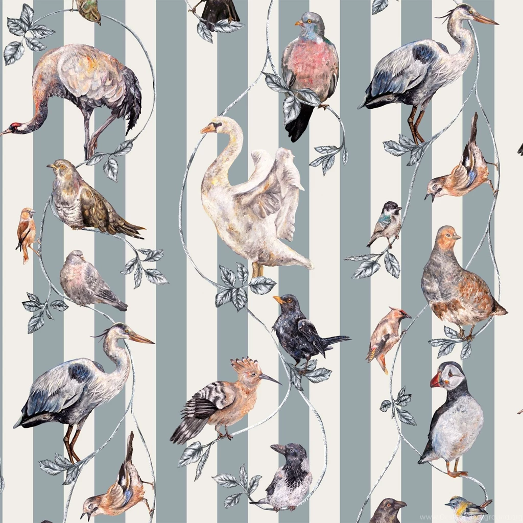 Flights Of Fancy Grey Stripe By House Of Hackney : Wallpapers Direct