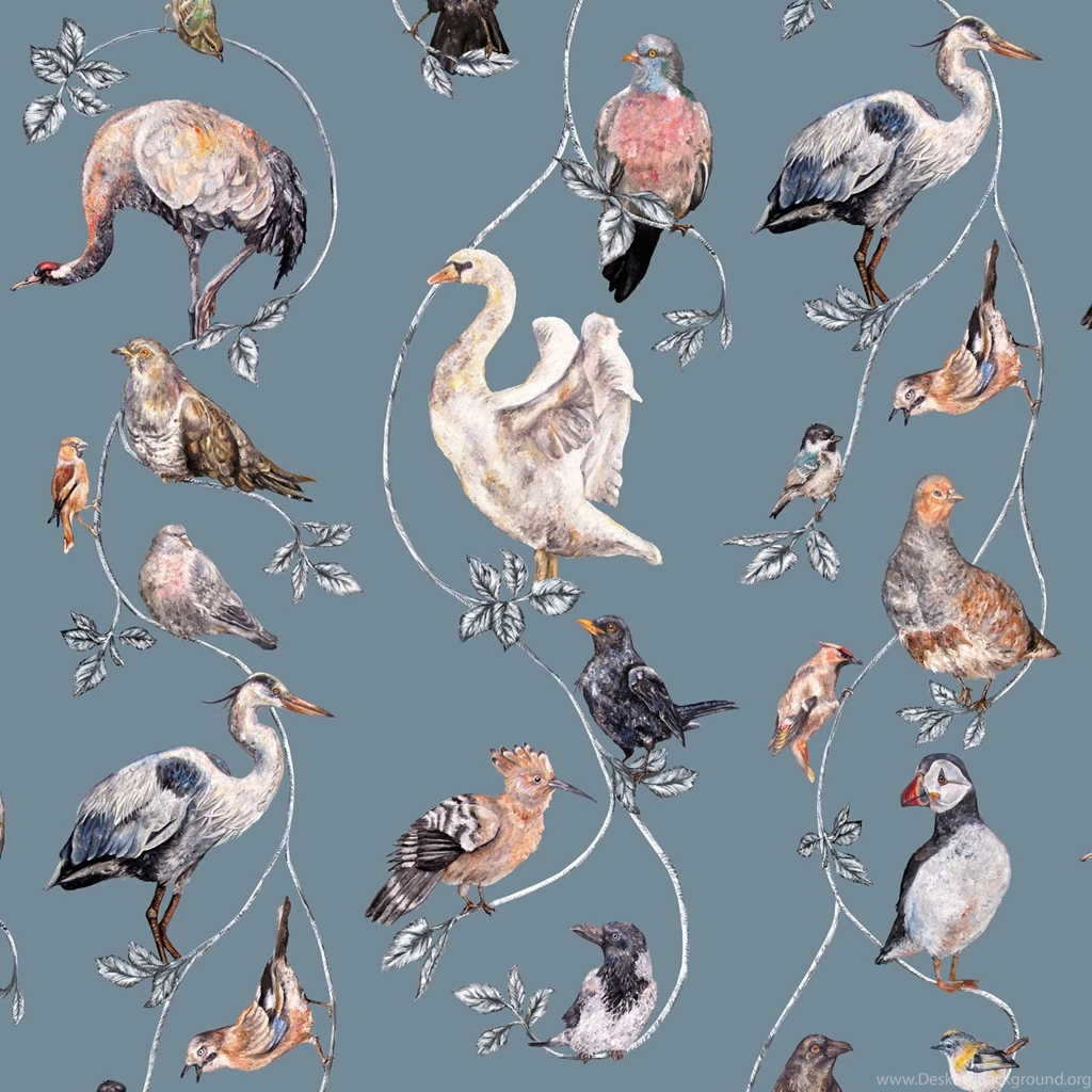 House Of Hackney Wallpapers Collection : Wallpapers Direct