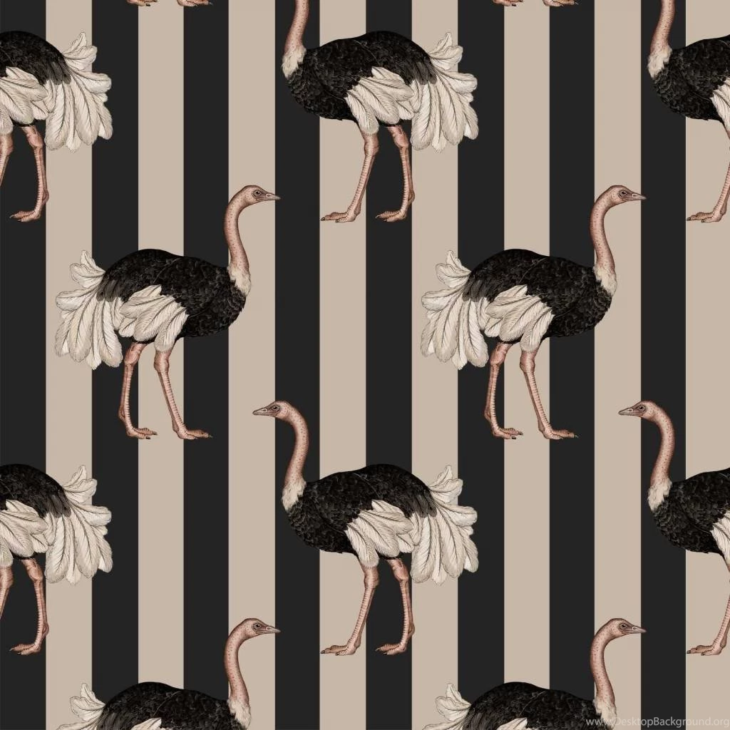 House Of Hackney PRIDE Wallpapers Blush / Off Black De Mooiste Muren