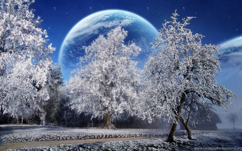 Hd Winter Wallpapers   Desktop Backgrounds