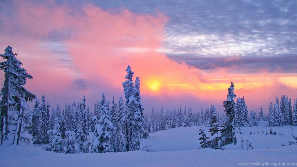 Winter Sunset HD Wallpapers