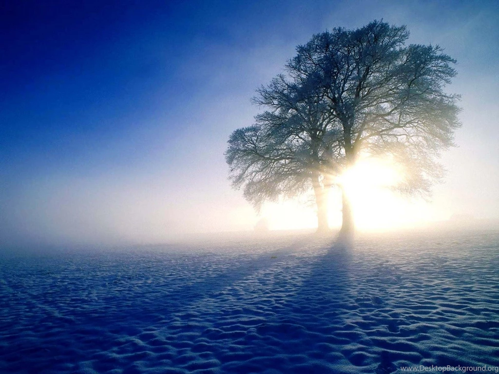 Free Winter Wallpapers Hd ~ Toptenpack.com