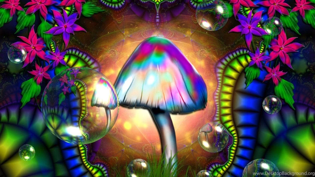 Mushroom Computer Wallpapers, Desktop Backgrounds