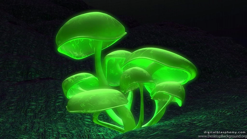 Mushroom Computer Wallpapers, Desktop Backgrounds