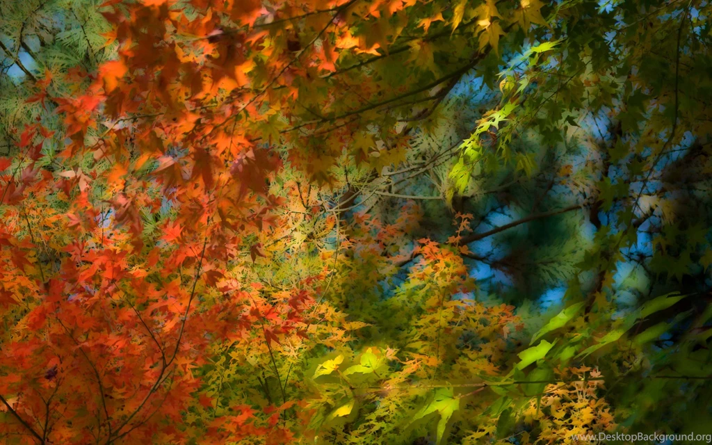 Jeffrey Friedl's Blog » The Color Of Kyoto — Desktop Backgrounds