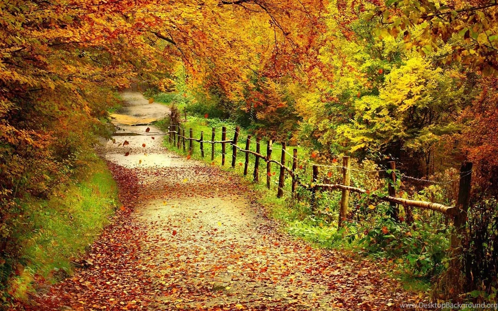 Fall Colors Wallpapers HD Wallpapers Lovely