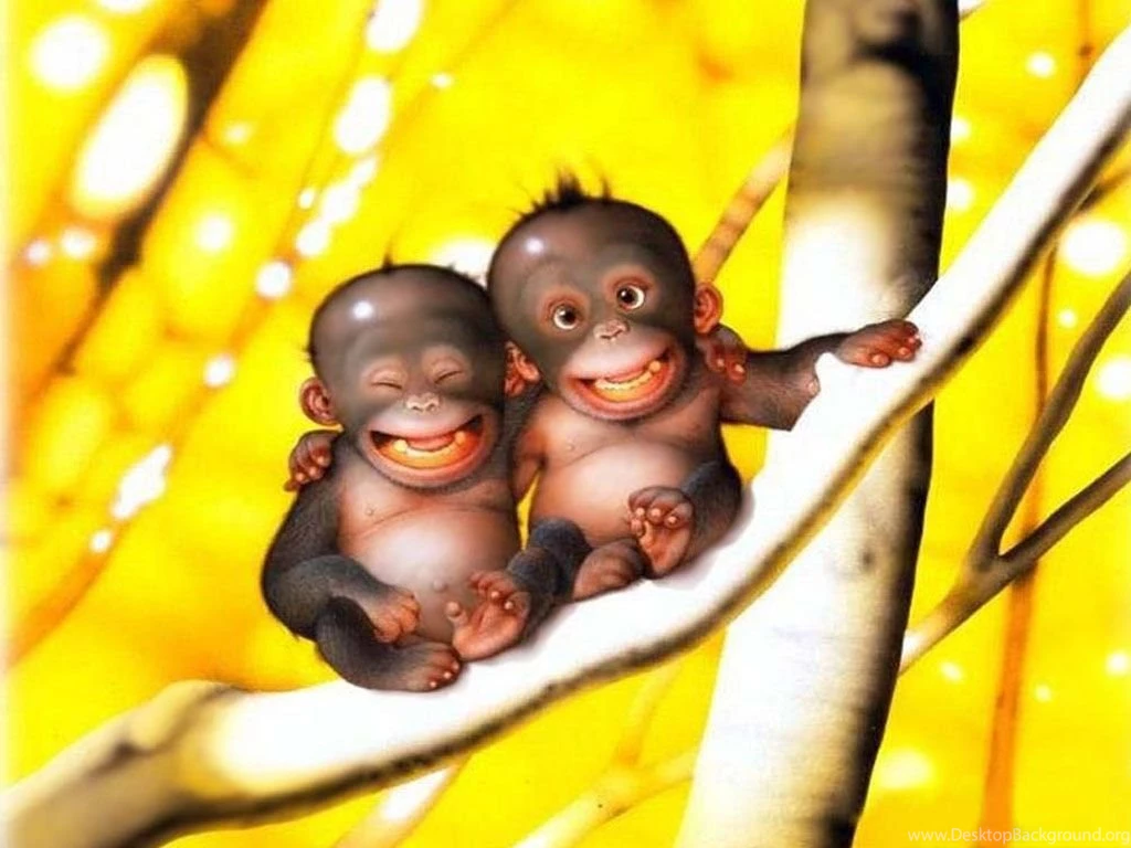 Free Funny Wallpapers Hemslojdsgoten