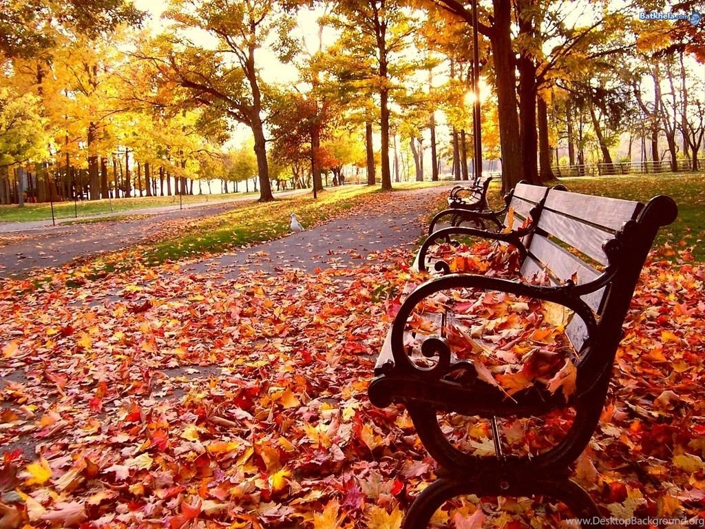 Graffiti bridge: February 2011