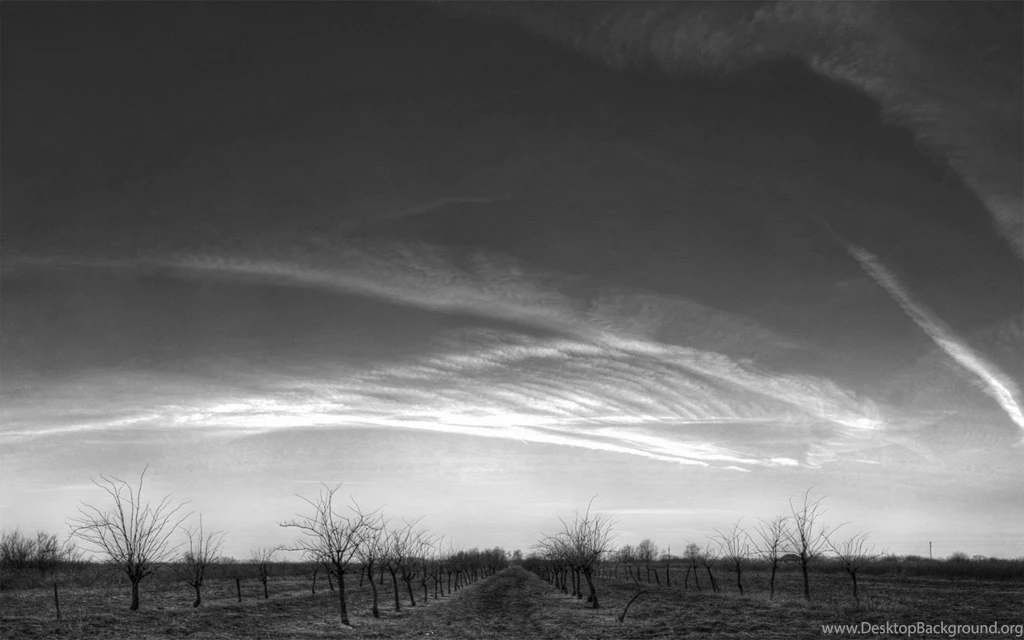 1680x1050 Black And White Skyscape Desktop PC And Mac Wallpapers