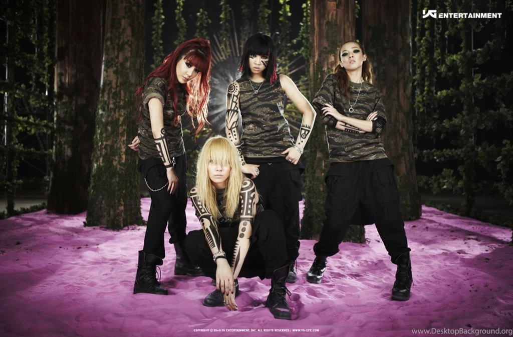 Wallpapers 2NE1 Photo (24150839) Fanpop