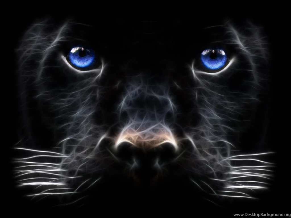 3D Wallpapers   12627