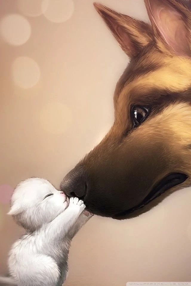 Cute Kiss HD Desktop Wallpapers : Widescreen : High Definition ...