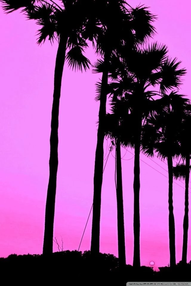 Cute Trees HD Desktop Wallpapers : Widescreen : High Definition ...