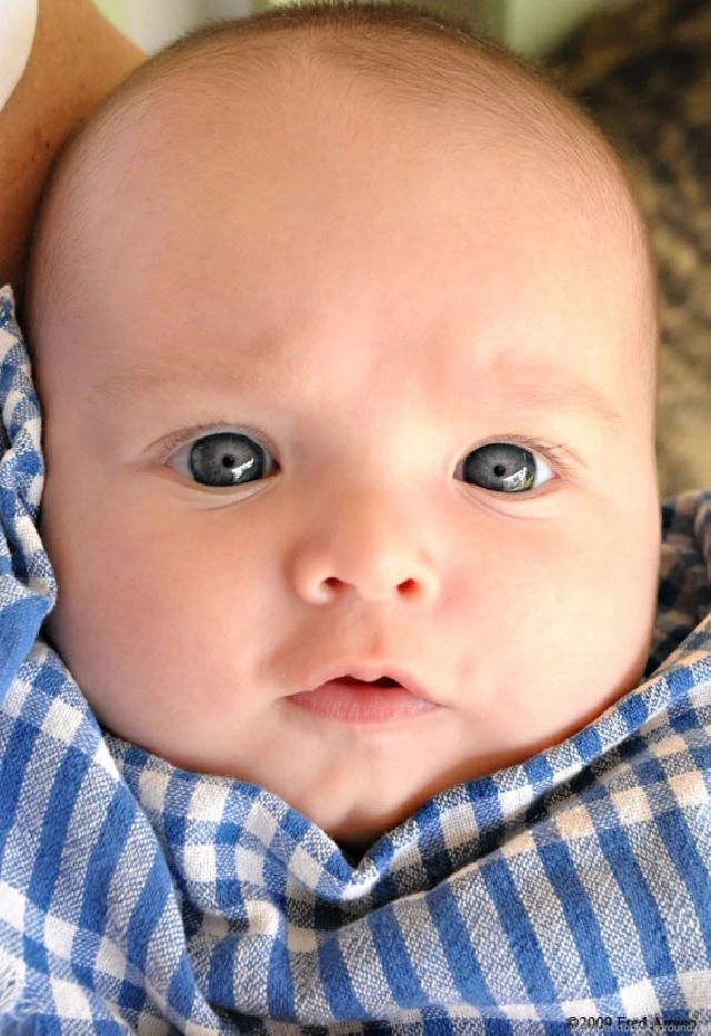 Small Baby Pics And Wallpapers Download