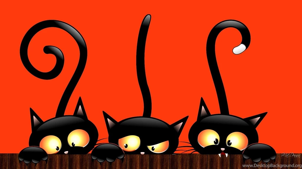 Cats: Black Cat Halloween Peeking Cute Bright Hallows Eve Orange ...
